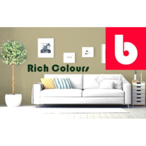 Dulux Interior Wall Paint - Rich Colours